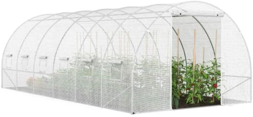 Probache Pro - Invernadero grande de jardín, diseño de túnel, transparente, 18 m², 7 arcadas, galvanizado, 6 x 3 x 2 m | 18m² 6 x 3 x 2 m, con puerta y ventanas blancas