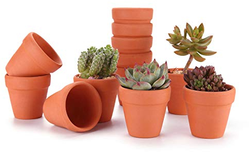 T4U Vaso Terracotta in Argilla Rosso 4CM Argilla Set di 12, Vaso per Piante in Miniatura Fioriera per Piante Sospese, Cactus, Erbe per Matrimonio Compleanno Casa e Ufficio Decorativo