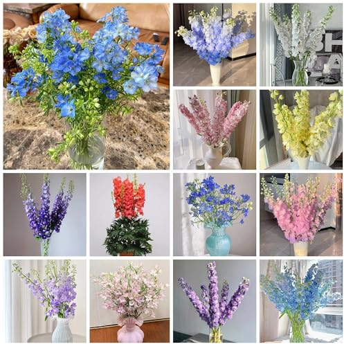 semillas de delphinium, delphinium resistentes al aire libre de perennes de cortadas macizo de con orgánicas 500pcs