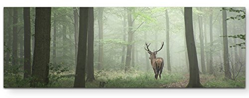 Paul Sinus Art Leinwandbilder | Bilder Leinwand 150x50cm Hirsch im Wald