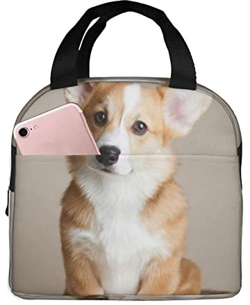 XVBCDFG Bolsa de almuerzo para perros Oficina al aire libre Papel de aluminio portátil Aislamiento grueso y bolsa Bento de mantenimiento fresco