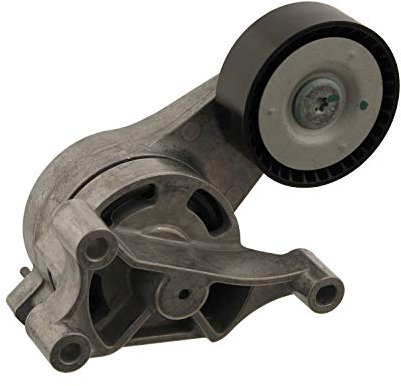 Febi-Bilstein 30166 - Tendicinghia, Cinghia Poly-V