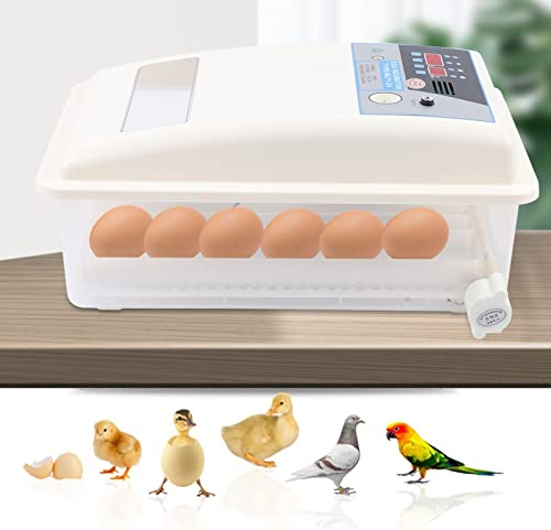 Inkubator Ei Vollautomatischer Inkubatoren Brutmaschine Hühnereier Automatischer Hühnerbrutkasten Heimbrutkasten Huhn 24 Eier Inkubatoren