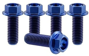 RISON-Titanium 5 Stück Titanschrauben M6x1.0x5mm, Titan Flansch Sechskantschrauben, Titan Schrauben mit Flansch Sechskant Kopf Schrauben, Scheibe Befestigungen Flanschschrauben für Motorrad, Auto