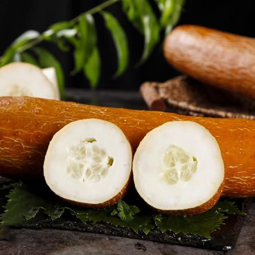 semillas de pepino al aire libre - decorativas variedades antiguas resistentes exterior interior 90pcs