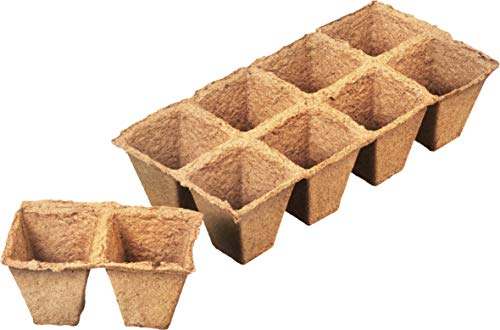 Connex FLOR79125 Pot à Tourbe à Plaque 6 cm Lot de 24