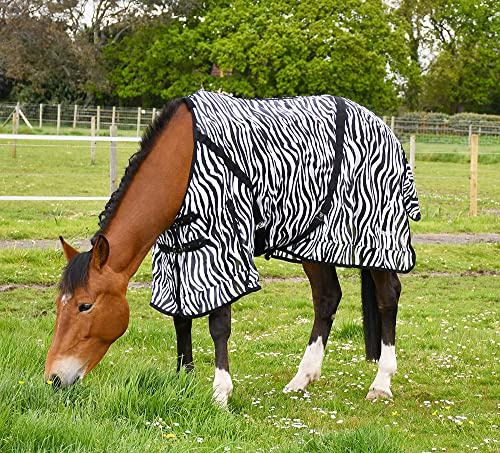 Rhinegold Fly Rug with Neck Cover