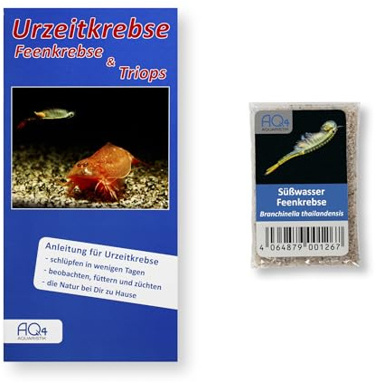 AQ4Aquaristik Thailändische Feenkrebse Branchinella thailandensis - Urzeitkrebse Zuchtansatz mit mehr als 1.000 Eiern, 1.000 Eier