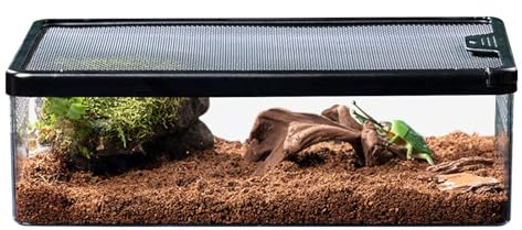 Contenitore per rettili - Casetta sicura per animali domestici ermetica per ragni, lucertole, coleotteri, grilli | Contenitore da cova ventilato Trasparente Rettile Terrario Traspirante Anti Fuga