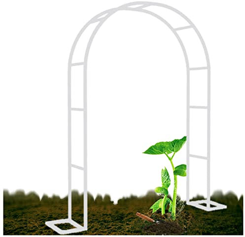Arche de jardin en métal - Treillis stable pour plantes grimpantes - En acier galvanisé - 120350 cm de large - Blanc - Idéal pour la décoration de jardin et le support des plantes