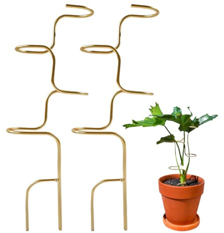 CGACCSD Supporto per La Pianta di Monstera | 2 Pezzi Sostegni per Rampicanti da Vaso,Sostegno per Steli di Piante - per Piante Grasse Monstera Pomodori Fiori e Rampicanti