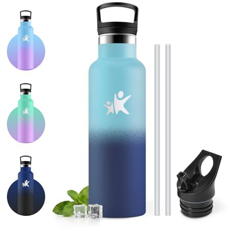 JAPORIA Borraccia Termica 500ml, Borraccia con Cannuccia, Bottiglia Termica senza BPA, senza Perdite, per Adulto, Yoga, Sport, Ciclismo, Palestra