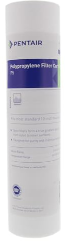 PENTAIR - Cartucho filtrante - P5 - filtro agua potable - Filtro arena y sedimentos - 9-3/4 x 2-3/8, 5 micras