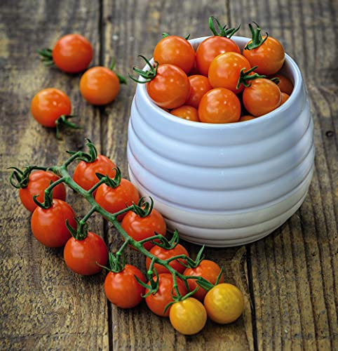 Tomato Honeycomb Garden Plant Half Hardy Annual Flowering Garden Plants Fruit Easy to Grow Your Own 1x Seed Packet by Thompson and Morgan.