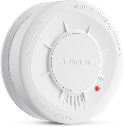 LIORQUE Rilevatore di Fumo, Sensore da 10 Anni, Batteria Sostituibile da 5 Anni, Pulsante di Prova/Silenzio, 85 DB, Allarme Antincendio Certificato EN14604, Bianco, 1 pezzo