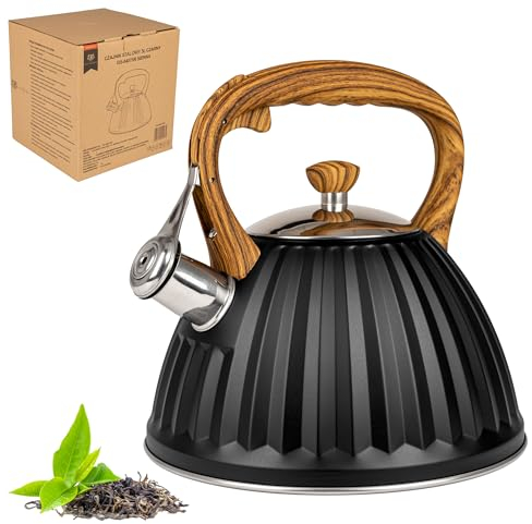 KARL HAUSMANN Bouilloire Inox Noir - 3L - Bouilloire Sifflante - Bouilloir Induction, Gaz - Poignée Résistante à la Chaleur - Bouilloir Traditionnelle Tous Feux - Retro - Théière Gaz - Bouilloir