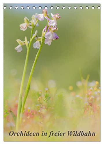 Orchideen in freier Wildbahn (Tischkalender 2026 DIN A5 hoch), CALVENDO Monatskalender: Eine kleine Auswahl an einheimischen Orchideen. (CALVENDO Natur)