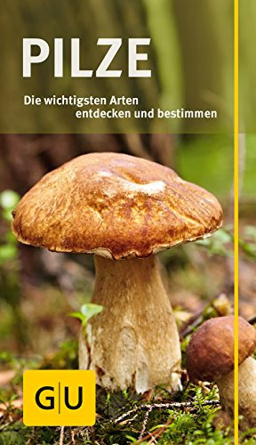 Pilze: Die wichtigsten Arten entdecken und bestimmen