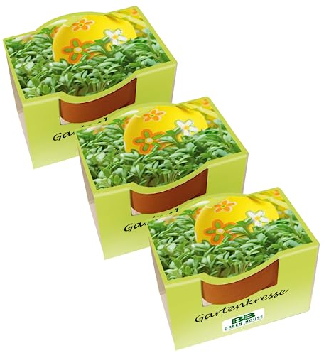 Bull & Bear 3er Set Mini Pflanzset mit Gartenkresse Samen im Topf 4,5cm, Kressesamen als Anzuchtset mit Pflegeanleitung