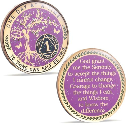 Moneda de sobriedad de un año con fichas AA y medallones, moneda de sobriedad para mujeres, monedas de recuperación del árbol de la vida, símbolo de aniversario, regalos de sobriedad, regalo anónimo