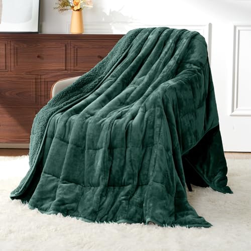 Uttermara Weighted Blanket for Adults, Queen Size Heavy Blanket with Reversible Soft Shiny Velour Fleece and Cozy Warm Sherpa for Couch Bed, Calming and Relaxing, 60 x 80 inches 15 lbs, Green