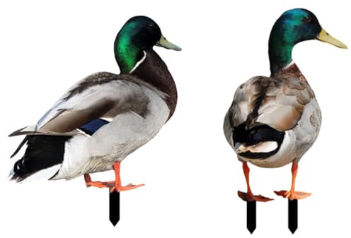 Yardwe 2 Pièces Déco Jardin Canard Piquets De Canard en Acrylique Piquet De Canard Piquets d'animaux en Acrylique Signes De Canard Acrylique Piquets Extérieurs Canards Accessoires UV