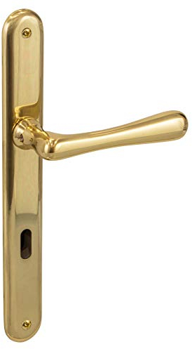 Gedotec Juego de manillas de latón antiguo, herrajes para puerta vintage, elegante | latón pulido | BB – barato | 1 juego – Diseño de placa larga incluye tornillos