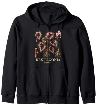 Rex Begonia Begonia Rex Colorful Houseplant Plant Study Zip Hoodie