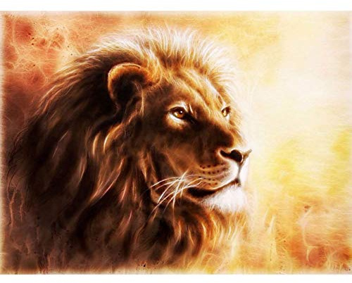 Bimkole DIY 5D Diamond Painting Zubehör Löwe, Tiere Kunstmalerei Diamant Malerei Kit Voll Runde Bohrer Malen nach Zahlen Malerei Stickerei Kreuzstich Diamond Dekoration,(30x40 cm)