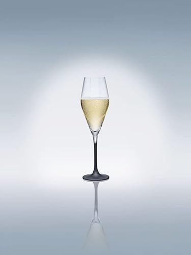 Villeroy & Boch [W] Manufacture Rock Champagnerkelch, Set 4tlg. 252mm, 0,26l