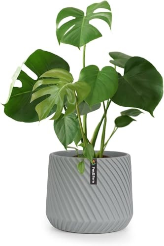 Fox & Fern 25,4 cm stor blomkruka med dränering, högkvalitativ grå 3D-textur, polystensytterkruka med betonggfinish; inomhus planteringskruka och utomhusväxter; modern ytterkruka med slät