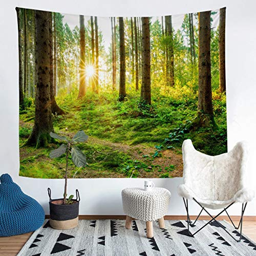 Tbrand Wald Wandbehang Wald Frühling Frische Thema Wandteppich 148x200cm für Kinder Jungen Mädchen Laub Sonnenstrahlen Sonnenaufgang Tapisserie Natur Wandtuch
