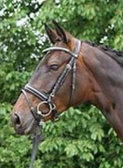 Hans Melzer Horse Equipment Trense Hagen, schwarz/schwarz unterlegt, Extra Warmblut