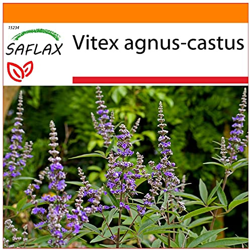 SAFLAX - Garden in the Bag - Läkemedelsväxter - Munkpeppar - 30 Frön - Med underlag i en passande resväska - Vitex agnus-castus