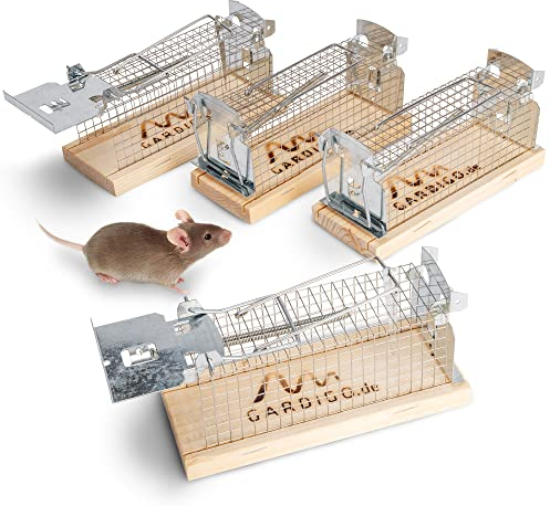 GARDIGO® Piège à Souris Vivant Lot de 4 – Fabriqué en Allemagne | Piège à Souris sans Cruauté | Piège Vivant pour Souris | Piège-Cage | Utilisation Intérieure & Extérieure