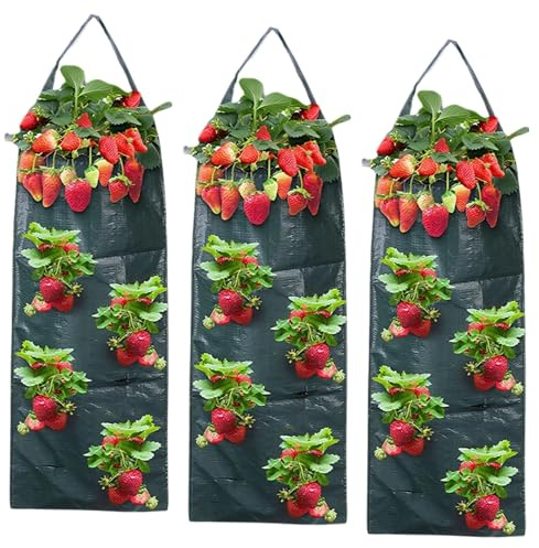 MENUY 3 Stück Hängend Pflanztaschen für Draußen, Erdbeer Pflanzsack mit 8 Löchern, Atmungsaktiv und Strapazierfähig Pflanzsäcke Mit Griffe, Pflanztasche für Erdbeeren, Tomaten, Gemüse (Grün)