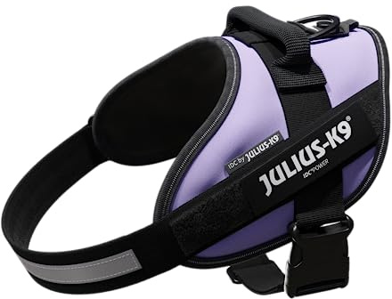 JULIUS K-9 IDC Powergeschirr, Größe: M / 0, Lila, 16IDC-PR-0