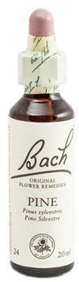 Bach - Flor de Bach Pine, Complemento Alimenticio, con Extracto de Flores de Pino Silvestre, Uva de Alc 27% Vol, Ayuda a Gestionar las Emociones Relacionadas con la Autoestima - 20 ml