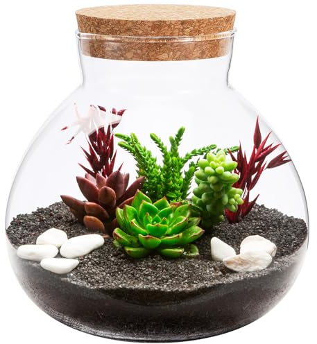 Happyyami Round Glass Jar Terrarium Home Decor Succulent Plant Terrarium | with Cork Lid, Moss Vases, Wishes Bottle, Candy Bottle, Kitchen Storage for DIY Micro Landscape Fern Air Plants