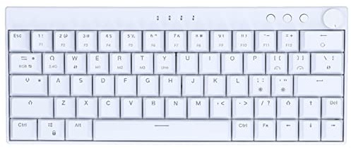 Denash Clavier de Jeu sans Fil, Clavier Mécanique RVB à 64 Touches Disposition Ergonomique Clavier en Option Mini Clavier Compact pour Les Voyages de Dactylo Gamer (Interrupteur à