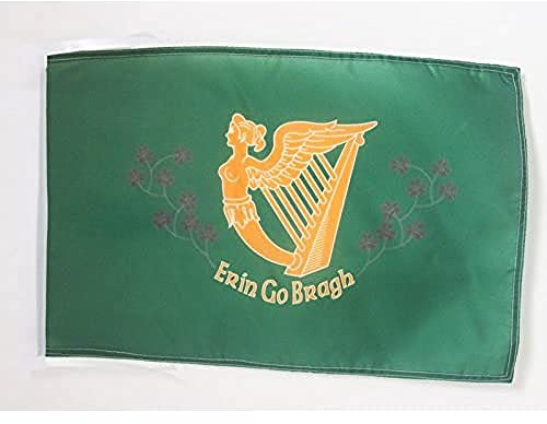 AZ FLAG - Flagge Irland Erin Go Bragh - 45x30 cm Mit Kordel - Erin Go Braugh Fahne 30 x 45 cm - Flaggen | Für innen und außen Irische dekorative Flagge Ireland Erin Go Bragh doppelte Nähte und verstärkte Kanten mit Schnüre