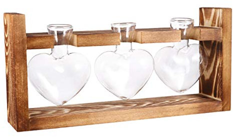 Cabilock 3 Piezas Jarra De Agua De Vidrio Terrario De Vidrio Sembradora Hidropónica Transparente Soporte De Vidrio para Plantas De Aire Comedor Bambú Maceta De Orquídeas Acrílico Oficina