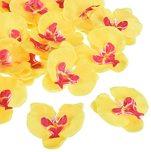 PATIKIL 3.5 Artificiale Orchidea Fiore Teste 20pz Seta Phalaenopsis Finta Farfalla Orchidea Teste per Matrimonio Floreale Bouquet Decoro Fai da te Artigianato Realizzare Giallo