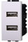 Presa Doppio USB Compatibile Con Bticino Living Light, Modulo Caricatore Da Muro 2 Porte USB 5V 2,1A (Bianco)