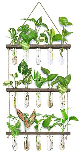 XXXFLOWER Wall Hanging Propagation Station with Wooden Stand 5 Glass Test Tubes 3 Tiered Planters Wall Terrarium for Home Office Plant Hanger Flower Vases Wall Decor Hydroponic Cuttings | 3 Tiers Plant Propagation Tubes Wall Decor Hydroponic Cuttings Plant Hanger Indoor Home Office Gardening Gifts for Women