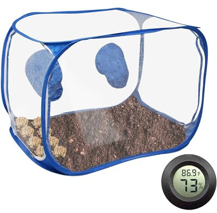 Toboom Mycology Boîte à air portable avec kit de culture de champignons – Idéal pour la culture de champignons au bureau et les amateurs de mycologie (bleu)