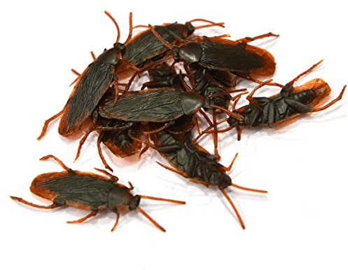 NIDONE Gardon en Plastique, Faux cafard réaliste Insectes en Plastique réaliste