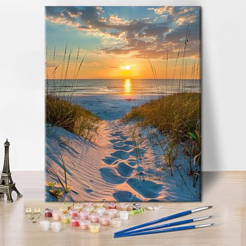 TISHIRON Kit de peinture à l'huile par numéros pour adultes et débutants - Avec 3 pinceaux et peinture acrylique - Sans cadre - 40 x 50 cm - Motif coucher de soleil sur la mer