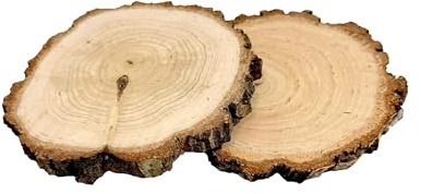 Set di 2 dischi di legno con corteccia 12–15 cm – Rondelle decorative levigate su entrambi i lati per fai da te, artigianato, decorazioni, matrimoni e festività