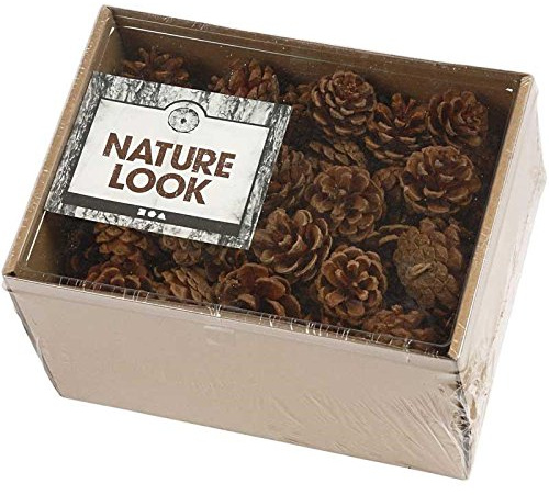 NEU Echte Kiefernzapfen. 500g. ca.80 Stück